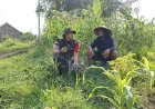 Duduk Bersama di Tengah Ladang, Dansatgas TMMD Gresik Dengarkan Keluh Kesah Mbah Gimin