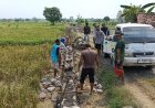 Di Tengah Sawah Desa Slempit, Semangat Gotong Royong TMMD ke-128 Kodim 0817/Gresik Tak Pernah Surut 