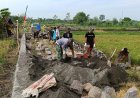 TMMD ke 128 Kodim 0817/Gresik, Satukan Tenaga Percepat TPT Jalan Sawah 